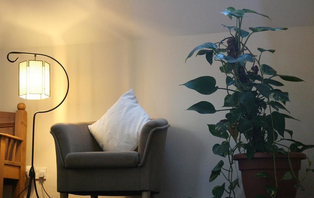 Ross House Bed and Breakfast Roscommon Buitenkant foto